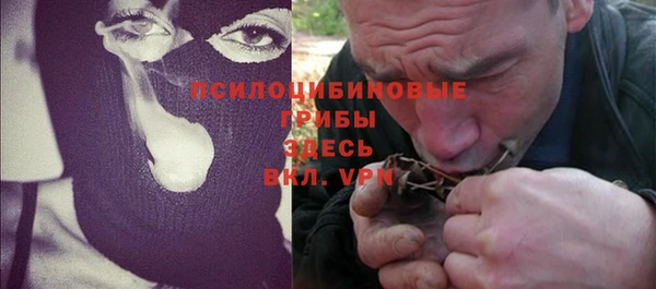 PSILOCYBIN Алексеевка