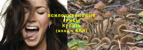кокс Алексин