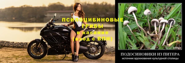 кокс Алексин