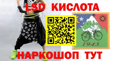 индика Кандалакша