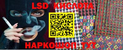 индика Кандалакша