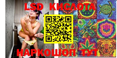 индика Кандалакша