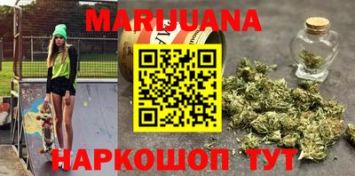 индика Кандалакша