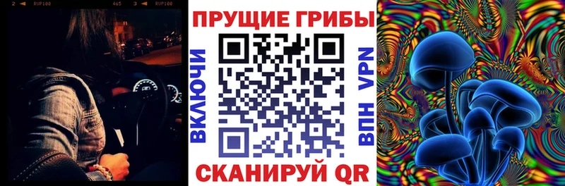 Галлюциногенные грибы прущие грибы Новокубанск