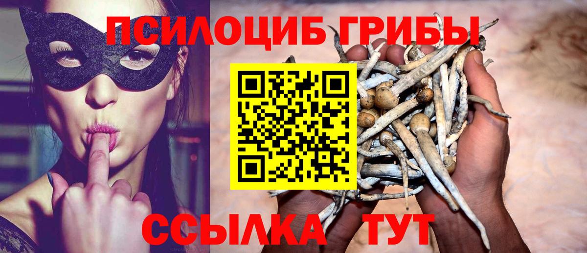 Псилоцибиновые грибы мицелий  Вход с VPN  Новокубанск 
