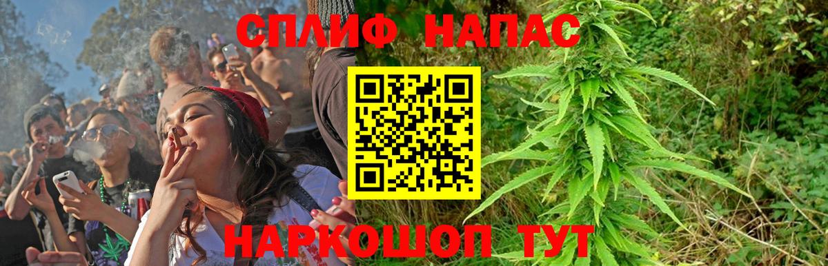 Бошки Шишки план Новокубанск